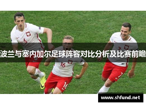波兰与塞内加尔足球阵容对比分析及比赛前瞻